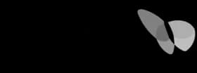 MSN
