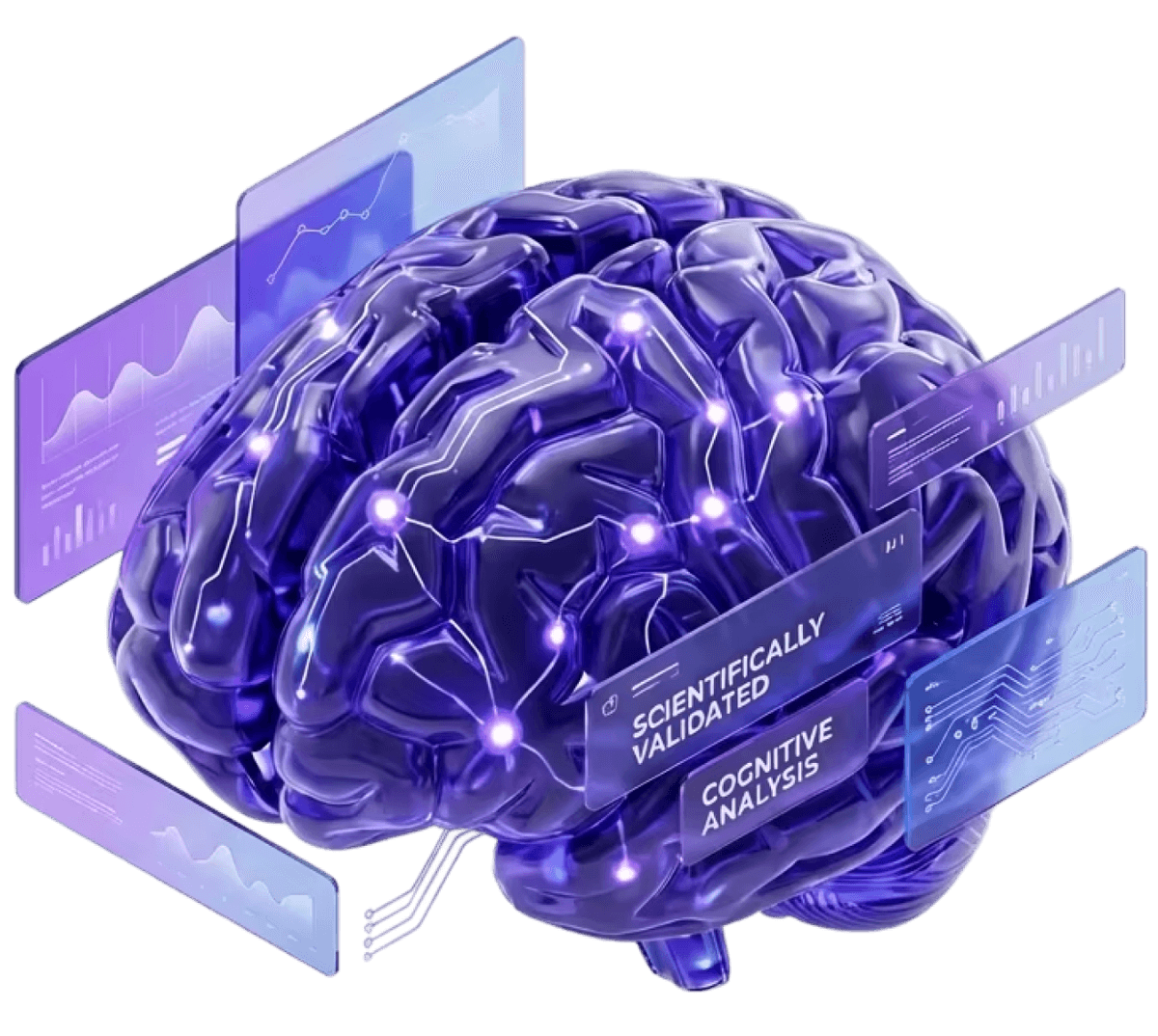 Brain visualization
